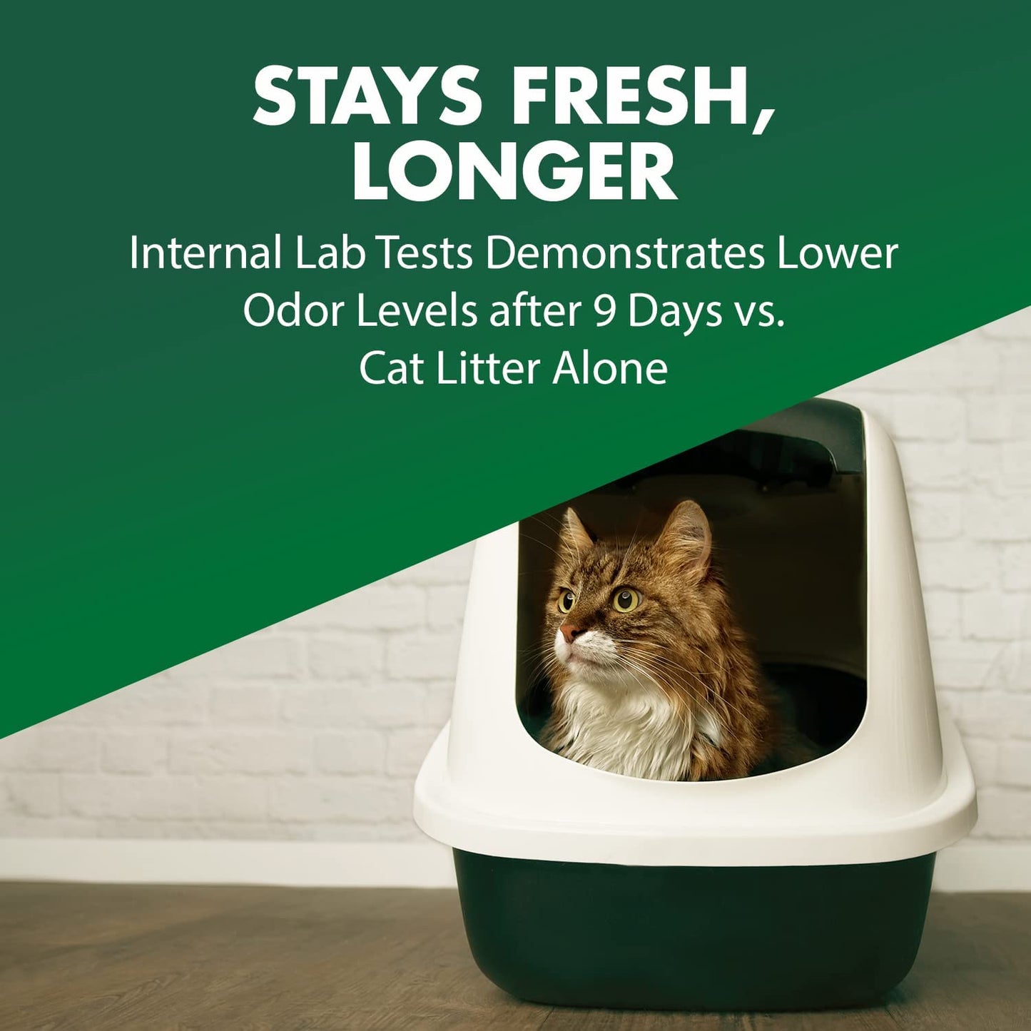 Cat Litter Deodorizer